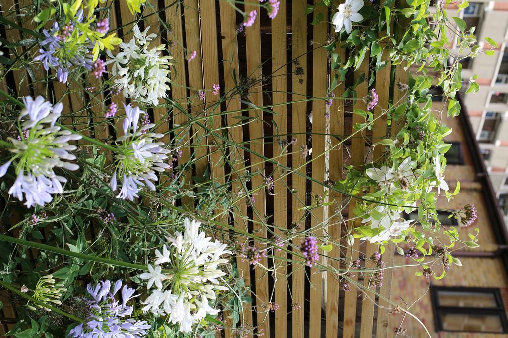Shoreditch 1 With Garden London Zimmer foto