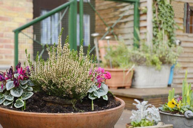 Shoreditch 1 With Garden London Zimmer foto
