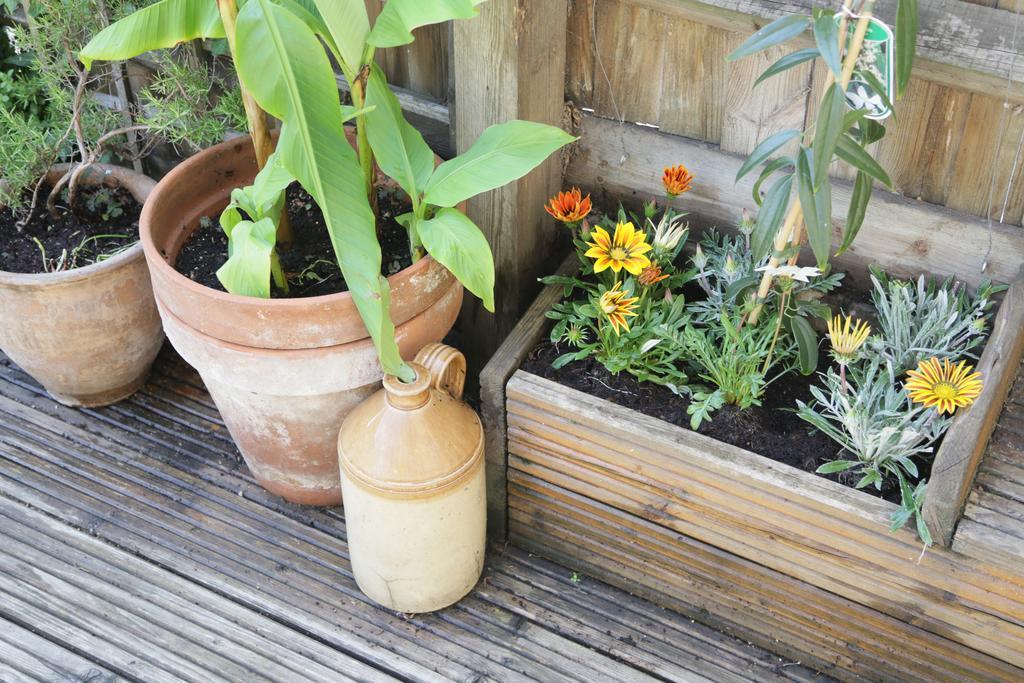 Shoreditch 1 With Garden London Zimmer foto