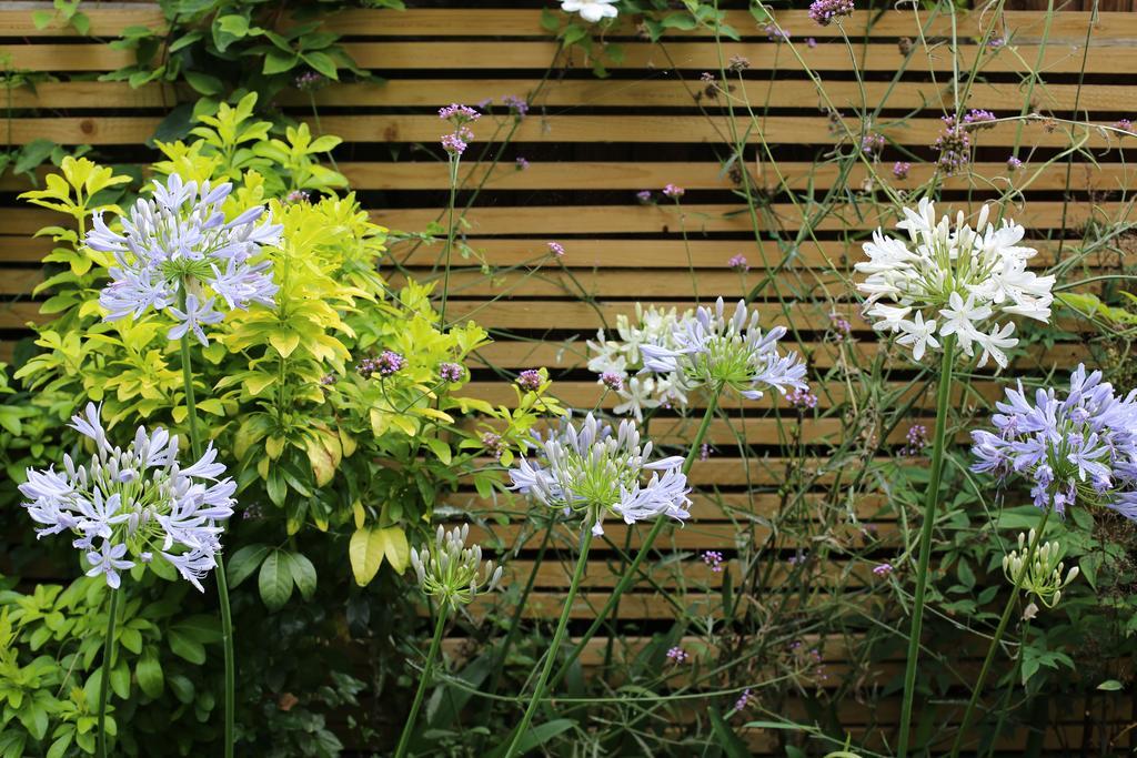 Shoreditch 1 With Garden London Zimmer foto